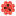 Rustbetting