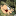 StreamHunter